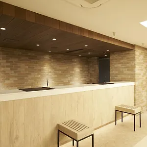 3* Hotel Sotetsu Fresa Ginza Sanchome